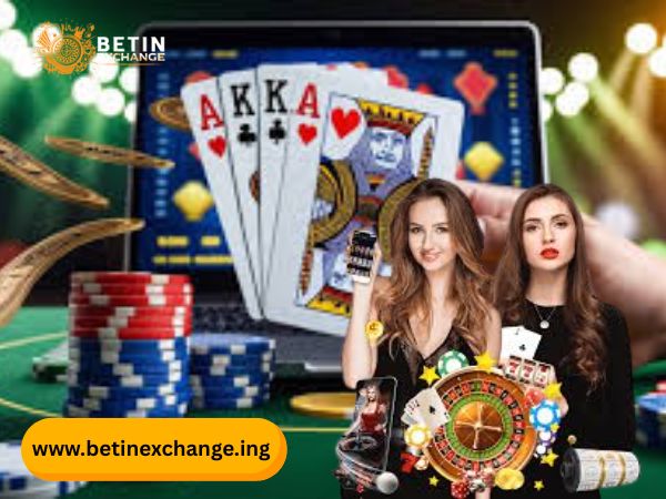 Why Choose BetinExchange